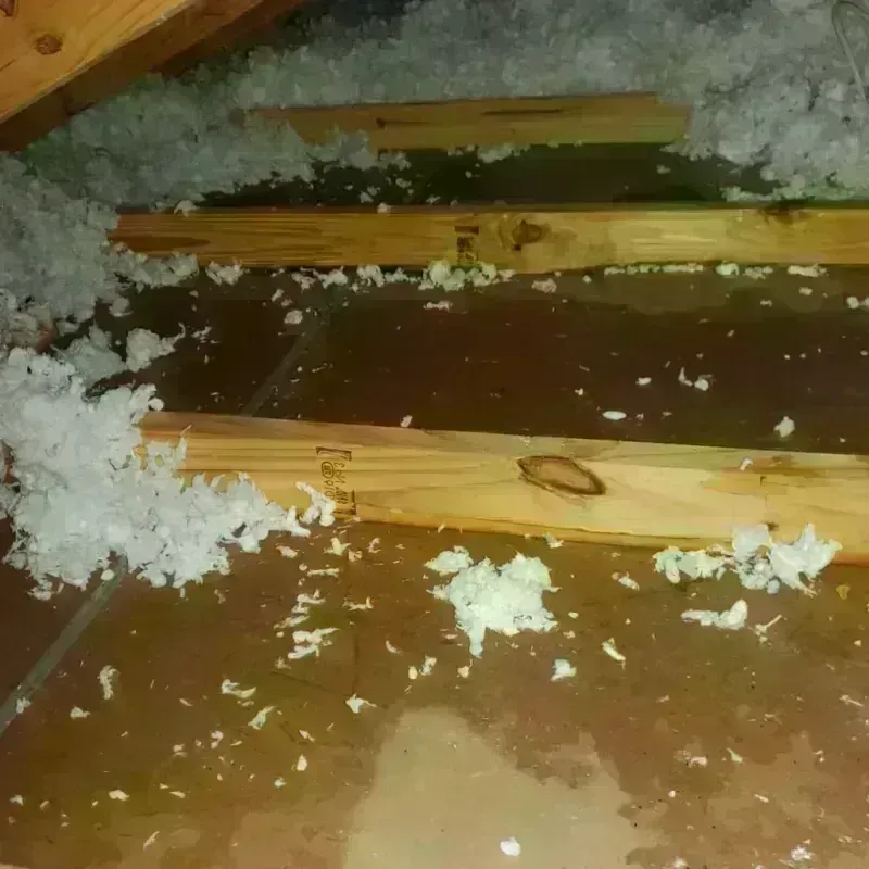 Attic Water Damage in Westfield, NY